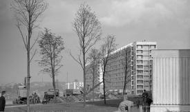 An der Magistrale