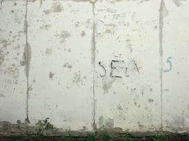 Sex