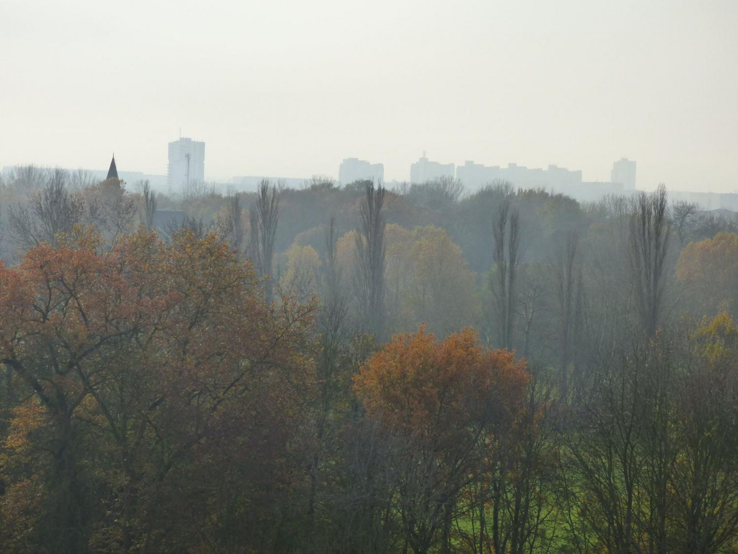 Blick in Richtung Halle- Neustadt im Herbst 2014 